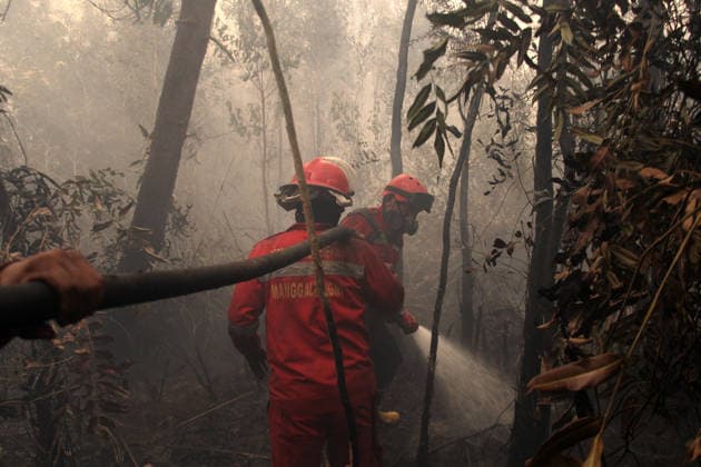 Wildfires continue to spread in Indonesia s South Sumatra PALEMBANG, INDONESIA - SEPTEMBER 19: Indonesian firefighters from Manggala Agni try to extinguish wildfires near resident area at Talang Jambe district in Palembang, South Sumatera, Indonesia on September 19, 2026. The area affected by wildfires in South Sumatra has now become the largest in Indonesia. The Indonesian government has stepped up firefighting efforts by deploying more than 50 aircraft to water bombing on fires and conducting weather modification operations to induce rain. Japan also sent three CH-47 Chinook helicopters and 180 personnel last week to assist with firefighting. Muhammad Fajri Anadolu Palembang Indonesia. Editorial use only. Please get in touch for any oth  Copyright: x2026xAnadoluxMuhammadxFajrix