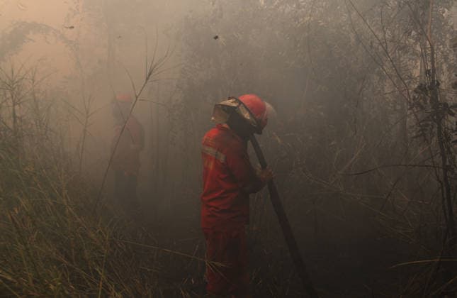 Wildfires continue to spread in Indonesia s South Sumatra PALEMBANG, INDONESIA - SEPTEMBER 19: Indonesian firefighters from Manggala Agni try to extinguish wildfires near resident area at Talang Jambe district in Palembang, South Sumatera, Indonesia on September 19, 2026. The area affected by wildfires in South Sumatra has now become the largest in Indonesia. The Indonesian government has stepped up firefighting efforts by deploying more than 50 aircraft to water bombing on fires and conducting weather modification operations to induce rain. Japan also sent three CH-47 Chinook helicopters and 180 personnel last week to assist with firefighting. Muhammad Fajri Anadolu Palembang Indonesia. Editorial use only. Please get in touch for any oth  Copyright: x2026xAnadoluxMuhammadxFajrix