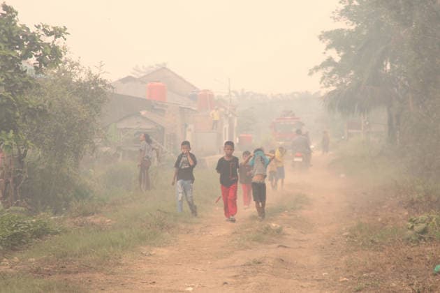 Wildfires continue to spread in Indonesia s South Sumatra PALEMBANG, INDONESIA - SEPTEMBER 16: Children walk through the smoke as wildfire breaks out near their house in Palembang, South Sumatera, Indonesia on September 19, 2026. The area affected by wildfires in South Sumatra has now become the largest in Indonesia. The Indonesian government has stepped up firefighting efforts by deploying more than 50 aircraft to water bombing on fires and conducting weather modification operations to induce rain. Japan also sent three CH-47 Chinook helicopters and 180 personnel last week to assist with firefighting. Muhammad Fajri Anadolu Palembang Indonesia. Editorial use only. Please get in touch for any other usage.  Copyright: x2026xAnadoluxMuhammadxFajrix