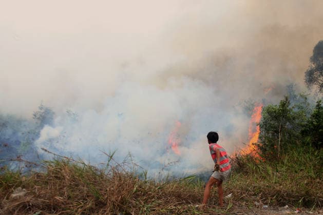 Wildfires continue to spread in Indonesia s South Sumatra PALEMBANG, INDONESIA - SEPTEMBER 19: A boy tries to extinguish wildfires near his house at Talang Jambe district in Palembang, South Sumatera, Indonesia on September 19, 2026. The area affected by wildfires in South Sumatra has now become the largest in Indonesia. The Indonesian government has stepped up firefighting efforts by deploying more than 50 aircraft to water bombing on fires and conducting weather modification operations to induce rain. Japan also sent three CH-47 Chinook helicopters and 180 personnel last week to assist with firefighting. Muhammad Fajri Anadolu Palembang Indonesia. Editorial use only. Please get in touch for any other usage.  Copyright: x2026xAnadoluxMuhammadxFajrix
