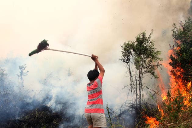 Wildfires continue to spread in Indonesia s South Sumatra PALEMBANG, INDONESIA - SEPTEMBER 19: A boy tries to extinguish wildfires near his house at Talang Jambe district in Palembang, South Sumatera, Indonesia on September 19, 2026. The area affected by wildfires in South Sumatra has now become the largest in Indonesia. The Indonesian government has stepped up firefighting efforts by deploying more than 50 aircraft to water bombing on fires and conducting weather modification operations to induce rain. Japan also sent three CH-47 Chinook helicopters and 180 personnel last week to assist with firefighting. Muhammad Fajri Anadolu Palembang Indonesia. Editorial use only. Please get in touch for any other usage.  Copyright: x2026xAnadoluxMuhammadxFajrix