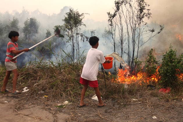 Wildfires continue to spread in Indonesia s South Sumatra PALEMBANG, INDONESIA - SEPTEMBER 19: Boys try to extinguish wildfires near his house at Talang Jambe district in Palembang, South Sumatera, Indonesia on September 19, 2026. The area affected by wildfires in South Sumatra has now become the largest in Indonesia. The Indonesian government has stepped up firefighting efforts by deploying more than 50 aircraft to water bombing on fires and conducting weather modification operations to induce rain. Japan also sent three CH-47 Chinook helicopters and 180 personnel last week to assist with firefighting. Muhammad Fajri Anadolu Palembang Indonesia. Editorial use only. Please get in touch for any other usage.  Copyright: x2026xAnadoluxMuhammadxFajrix