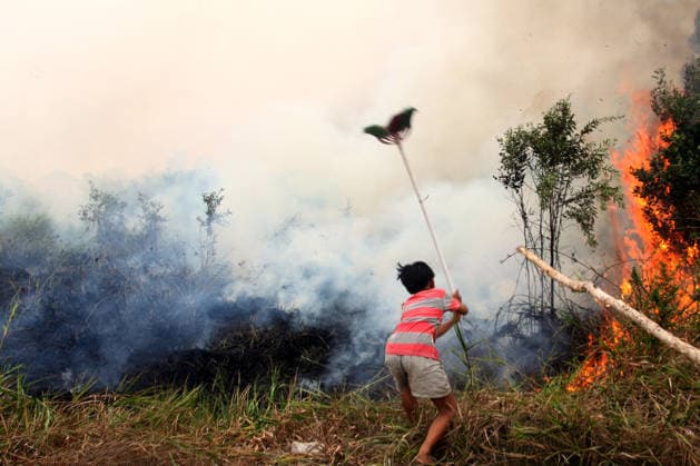 Wildfires continue to spread in Indonesia s South Sumatra PALEMBANG, INDONESIA - SEPTEMBER 19: A boy tries to extinguish wildfires near his house at Talang Jambe district in Palembang, South Sumatera, Indonesia on September 19, 2026. The area affected by wildfires in South Sumatra has now become the largest in Indonesia. The Indonesian government has stepped up firefighting efforts by deploying more than 50 aircraft to water bombing on fires and conducting weather modification operations to induce rain. Japan also sent three CH-47 Chinook helicopters and 180 personnel last week to assist with firefighting. Muhammad Fajri Anadolu Palembang Indonesia. Editorial use only. Please get in touch for any other usage.  Copyright: x2026xAnadoluxMuhammadxFajrix