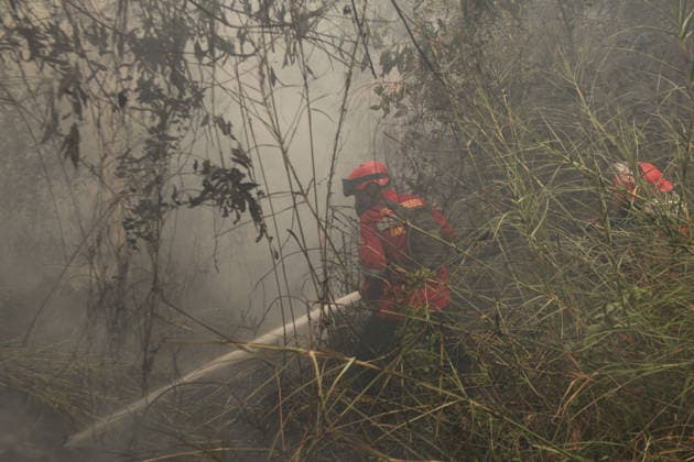 Wildfires continue to spread in Indonesia s South Sumatra PALEMBANG, INDONESIA - SEPTEMBER 19: Indonesian firefighters from Manggala Agni try to extinguish wildfires near resident area at Talang Jambe district in Palembang, South Sumatera, Indonesia on September 19, 2026. The area affected by wildfires in South Sumatra has now become the largest in Indonesia. The Indonesian government has stepped up firefighting efforts by deploying more than 50 aircraft to water bombing on fires and conducting weather modification operations to induce rain. Japan also sent three CH-47 Chinook helicopters and 180 personnel last week to assist with firefighting. Muhammad Fajri Anadolu Palembang Indonesia. Editorial use only. Please get in touch for any oth  Copyright: x2026xAnadoluxMuhammadxFajrix