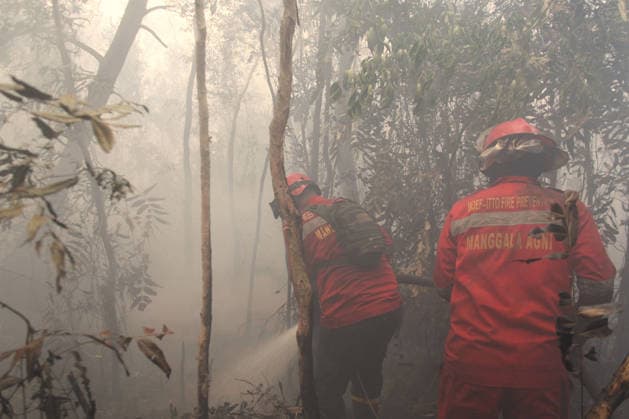 Wildfires continue to spread in Indonesia s South Sumatra PALEMBANG, INDONESIA - SEPTEMBER 19: Indonesian firefighters from Manggala Agni try to extinguish wildfires near resident area at Talang Jambe district in Palembang, South Sumatera, Indonesia on September 19, 2026. The area affected by wildfires in South Sumatra has now become the largest in Indonesia. The Indonesian government has stepped up firefighting efforts by deploying more than 50 aircraft to water bombing on fires and conducting weather modification operations to induce rain. Japan also sent three CH-47 Chinook helicopters and 180 personnel last week to assist with firefighting. Muhammad Fajri Anadolu Palembang Indonesia. Editorial use only. Please get in touch for any oth  Copyright: x2026xAnadoluxMuhammadxFajrix