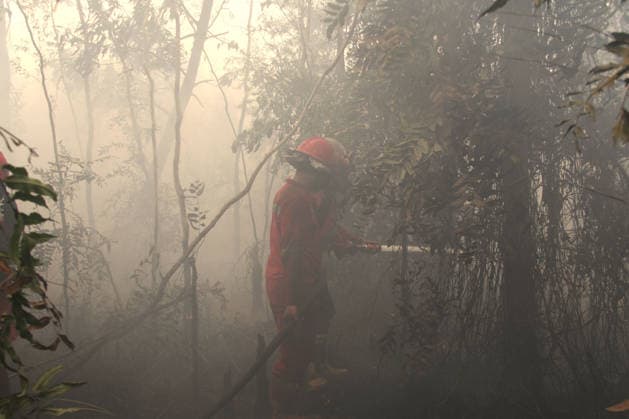 Wildfires continue to spread in Indonesia s South Sumatra PALEMBANG, INDONESIA - SEPTEMBER 19: Indonesian firefighters from Manggala Agni try to extinguish wildfires near resident area at Talang Jambe district in Palembang, South Sumatera, Indonesia on September 19, 2026. The area affected by wildfires in South Sumatra has now become the largest in Indonesia. The Indonesian government has stepped up firefighting efforts by deploying more than 50 aircraft to water bombing on fires and conducting weather modification operations to induce rain. Japan also sent three CH-47 Chinook helicopters and 180 personnel last week to assist with firefighting. Muhammad Fajri Anadolu Palembang Indonesia. Editorial use only. Please get in touch for any oth  Copyright: x2026xAnadoluxMuhammadxFajrix