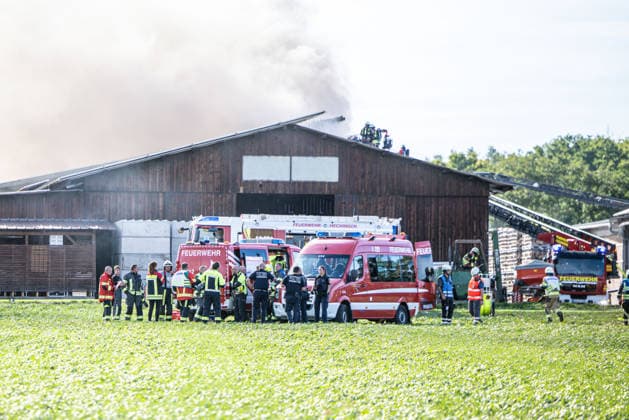 Fire on a Farm Near Grosselfingen Kills Chickens, A large column of black smoke from a fire at a farmstead on the K 7164 near Hinter dem Weiher in Grosselfingen is visible from afar. According to initial information from the police, chickens were killed in the fire. No inf Copyright: x xonw-imagesx xNicklasxWaltherx