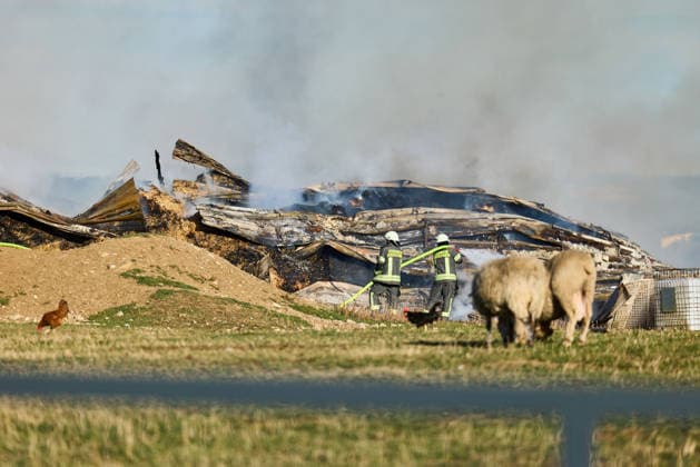 Fire on a Farm Near Grosselfingen Kills Chickens, A large column of black smoke from a fire at a farmstead on the K 7164 near Hinter dem Weiher in Grosselfingen is visible from afar. According to initial information from the police, chickens were killed in the fire. No inf Copyright: x xonw-imagesx xNicklasxWaltherx