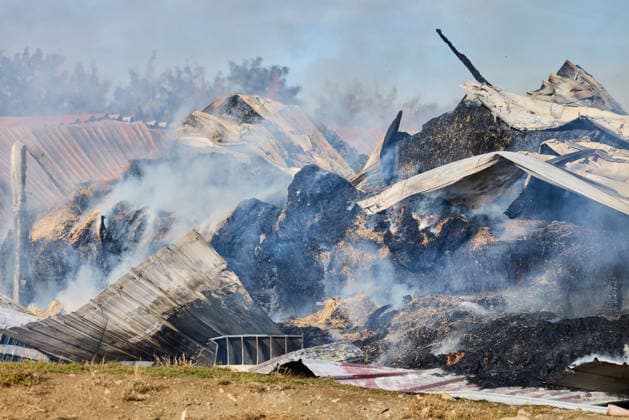 Fire on a Farm Near Grosselfingen Kills Chickens, A large column of black smoke from a fire at a farmstead on the K 7164 near Hinter dem Weiher in Grosselfingen is visible from afar. According to initial information from the police, chickens were killed in the fire. No inf Copyright: x xonw-imagesx xNicklasxWaltherx