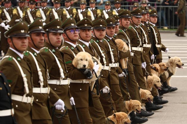 Annual military parade in Chile SANTIAGO, CHILE – SEPTEMBER 19: Members of the Carabineros (militarized police) march with dogs during the annual military parade marking Chilean Army Day—part of the country s independence anniversary celebrations—in Santiago, Chile, on Saturday, September 19, 2026. It is the first parade held under the administration of President José Antonio Kast. Lucas Aguayo Araos Anadolu Santiago Chile. Editorial use only. Please get in touch for any other usage.  Copyright: x2026xAnadoluxLucasxAguayoxAraosx