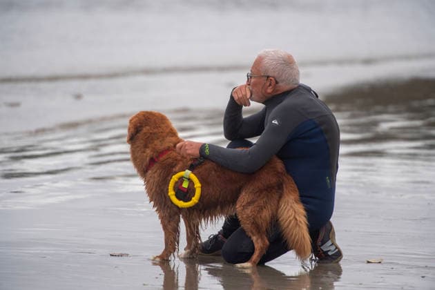 French Rescue Dog Championship Marc ROLLMANN MAXPPP September 20, 2026 In Bréhec, in the Côtes d’Armor, the Chiens d’eau du Goëlo are hosting the French Water Rescue Championship. Fifteen dog-handler teams, having qualified for the finals, are competing in three obedience and rescue events, both on land and at sea. Ship towing, retrieving a drowning victim from the waves, and battling the current—all put the dog’s strength, obedience, and, above all, the bond between dog and handler to the test. Facing the elements, they are all driven by the same motivation: to save lives and serve others. Bréhec, France, September 20, 2026. In Bréhec, Côtes d’Armor, the Goëlo Water Dogs are hosting the French Water Rescue Championship. Fifteen handler-do  Copyright: xMAXPPPxMarcxROLLMANNx MRL202609202367 MRL202609202352