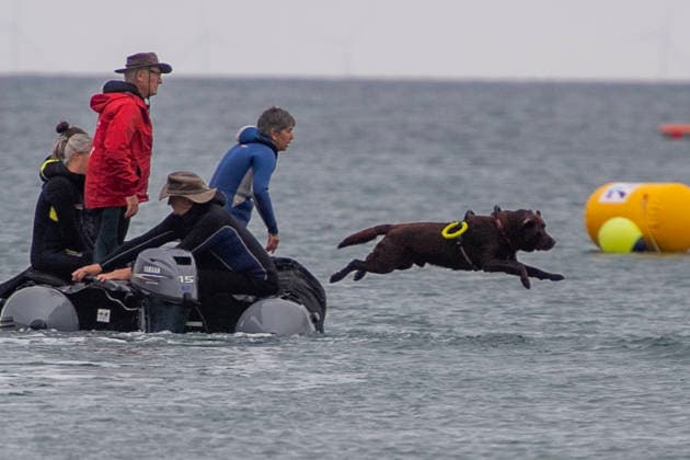 French Rescue Dog Championship Marc ROLLMANN MAXPPP September 20, 2026 In Bréhec, in the Côtes d’Armor, the Chiens d’eau du Goëlo are hosting the French Water Rescue Championship. Fifteen dog-handler teams, having qualified for the finals, are competing in three obedience and rescue events, both on land and at sea. Ship towing, retrieving a drowning victim from the waves, and battling the current—all put the dog’s strength, obedience, and, above all, the bond between dog and handler to the test. Facing the elements, they are all driven by the same motivation: to save lives and serve others. Bréhec, France, September 20, 2026. In Bréhec, Côtes d’Armor, the Goëlo Water Dogs are hosting the French Water Rescue Championship. Fifteen handler-do  Copyright: xMAXPPPxMarcxROLLMANNx MRL202609202367 MRL202609202354