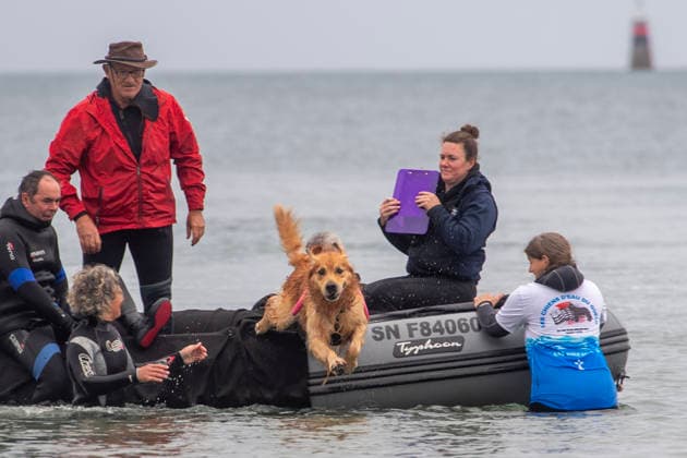 French Rescue Dog Championship Marc ROLLMANN MAXPPP September 20, 2026 In Bréhec, in the Côtes d’Armor, the Chiens d’eau du Goëlo are hosting the French Water Rescue Championship. Fifteen dog-handler teams, having qualified for the finals, are competing in three obedience and rescue events, both on land and at sea. Ship towing, retrieving a drowning victim from the waves, and battling the current—all put the dog’s strength, obedience, and, above all, the bond between dog and handler to the test. Facing the elements, they are all driven by the same motivation: to save lives and serve others. Bréhec, France, September 20, 2026. In Bréhec, Côtes d’Armor, the Goëlo Water Dogs are hosting the French Water Rescue Championship. Fifteen handler-do  Copyright: xMAXPPPxMarcxROLLMANNx MRL202609202367 MRL202609202361