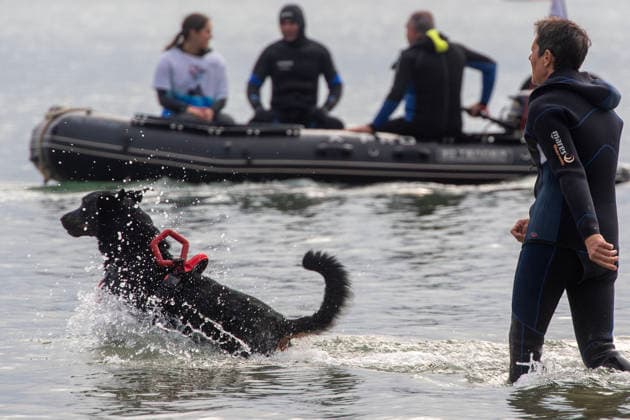 French Rescue Dog Championship Marc ROLLMANN MAXPPP September 20, 2026 In Bréhec, in the Côtes d’Armor, the Chiens d’eau du Goëlo are hosting the French Water Rescue Championship. Fifteen dog-handler teams, having qualified for the finals, are competing in three obedience and rescue events, both on land and at sea. Ship towing, retrieving a drowning victim from the waves, and battling the current put the dog’s strength, obedience, and—above all—the bond between dog and handler to the test. Facing the elements, they are all driven by the same motivation: to save lives and serve others. Bréhec, France, September 20, 2026. In Bréhec, Côtes d’Armor, the Goëlo Water Dogs are hosting the French Water Rescue Championship. Fifteen dog-handler team  Copyright: xMAXPPPxMarcxROLLMANNx MRL202609202367 MRL202609202378