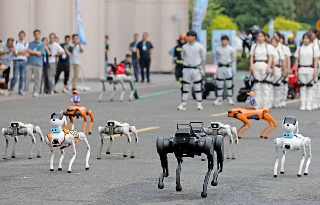 HANGZHOU, CHINA - SEPTEMBER 20: The first intelligent robot application skills exhibition is held on September 20, 2026 in Hangzhou, Zhejiang Province of China.  Copyright: xVCGx 111668225074