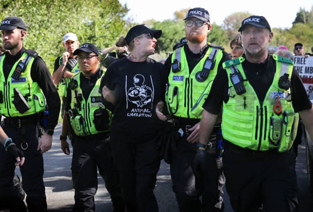 September 20, 2026, Huntingdon, United Kingdom: An activist is arrested after police accuse her of breaking the law at a previous protest some months ago, during the demonstration. Animal activists protest outside MBR Acres at Camp Beagle to Commemorate 50 years of The Animal Liberation Front (ALF). They gathered outside puppy breeding facility, MBR Acres that breed dogs for the vivisection industry. The protest Camp Beagle has had a permanent presence outside MBR Acres for five years. They say are staying until MBR Acres shuts down and the puppies are re-homed. Huntingdon United Kingdom - ZUMAs197 20260920_aaa_s197_427 Copyright: xMartinxPopex