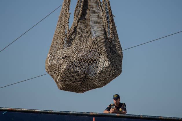 Sailboat Carrying 2.5 Metric Tons of Cocaine Seized in Galicia Arrival of the 2.5-metric-ton shipment of cocaine and the detainees following the interception of a sailboat carrying two metric tons of cocaine, 400 miles off the Galician coast, on September 21, 2026, in Vigo, Galicia, Spain. The sailboat’s crew has been arrested and has arrived at the Transatlantic Pier in Vigo on September 21, 2026, Adriá, Spain  Copyright: xAdrianxIragox 7789654
