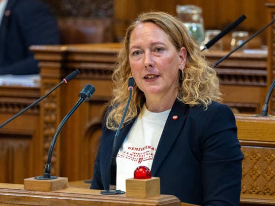 September 21, 2026 Vienna City Council: 125 members of the Vienna State Parliament and City Council; Judith Pühringer (Greens) on September 21, 2026, at the 17th session of the Vienna City Council, held at City Hall in Vienna, Vienna, Austria, at the request of the FPÖ