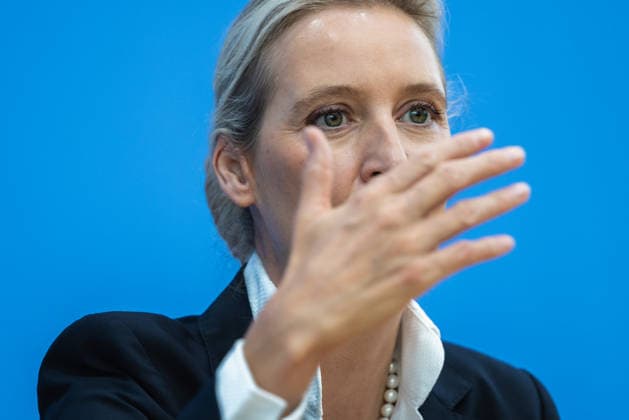 AfD: The Impact of the State Elections in Berlin and Mecklenburg-Western Pomerania on Federal Politics in Germany, Berlin, September 21, 2026 One day after the AfD’s successes in the state elections in Mecklen
