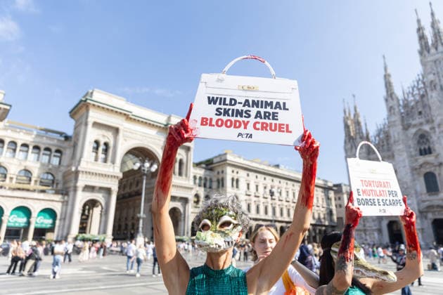 IPA88825815 - Milan, September 22, 2026, Piazza del Duomo, start of Fashion Week: a PETA animal rights flash mob featuring two women wearing crocodile masks and with their hands painted red to denounce violence against exotic animals used in the production of leather shoes, belts, and handbags  Copyright: xFrancescoxEnriquezx xFrancescoxEnriquezx IPA88825815