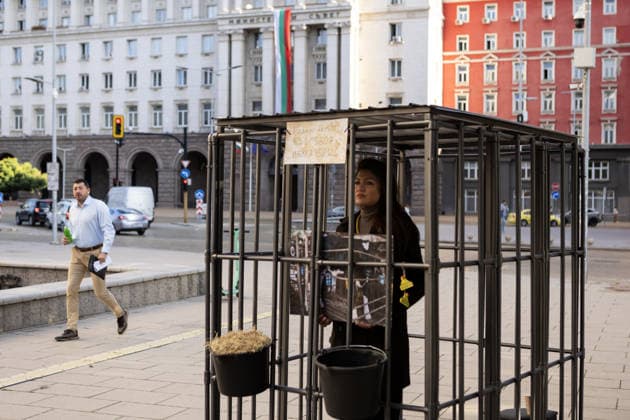 Environmental activists stage two-week cage protest in Sofia SOFIA, BULGARIA - SEPTEMBER 23: Environmental activists begin two-week protest outside the Bulgarian Parliament in Sofia, Bulgaria, on September 23, 2026, to oppose the practice of keeping newborn calves in individual isolation pens from birth. As part of the protest, one volunteer will remain inside a cage continuously, 24 hours a day, throughout the two-week demonstration. Nearly 200 volunteers are expected to take part in the initiative, rotating in 12-hour shifts. Hristo Vladev Anadolu Sofia Bulgaria. Editorial use only. Please get in touch for any other usage.  Copyright: x2026xAnadoluxHristoxVladevx