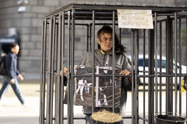 Environmental activists stage two-week cage protest in Sofia SOFIA, BULGARIA - SEPTEMBER 23: Environmental activists begin two-week protest outside the Bulgarian Parliament in Sofia, Bulgaria, on September 23, 2026, to oppose the practice of keeping newborn calves in individual isolation pens from birth. As part of the protest, one volunteer will remain inside a cage continuously, 24 hours a day, throughout the two-week demonstration. Nearly 200 volunteers are expected to take part in the initiative, rotating in 12-hour shifts. Hristo Vladev Anadolu Sofia Bulgaria. Editorial use only. Please get in touch for any other usage.  Copyright: x2026xAnadoluxHristoxVladevx