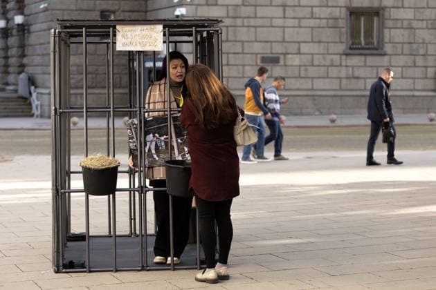 Environmental activists stage two-week cage protest in Sofia SOFIA, BULGARIA - SEPTEMBER 23: Environmental activists begin two-week protest outside the Bulgarian Parliament in Sofia, Bulgaria, on September 23, 2026, to oppose the practice of keeping newborn calves in individual isolation pens from birth. As part of the protest, one volunteer will remain inside a cage continuously, 24 hours a day, throughout the two-week demonstration. Nearly 200 volunteers are expected to take part in the initiative, rotating in 12-hour shifts. Hristo Vladev Anadolu Sofia Bulgaria. Editorial use only. Please get in touch for any other usage.  Copyright: x2026xAnadoluxHristoxVladevx
