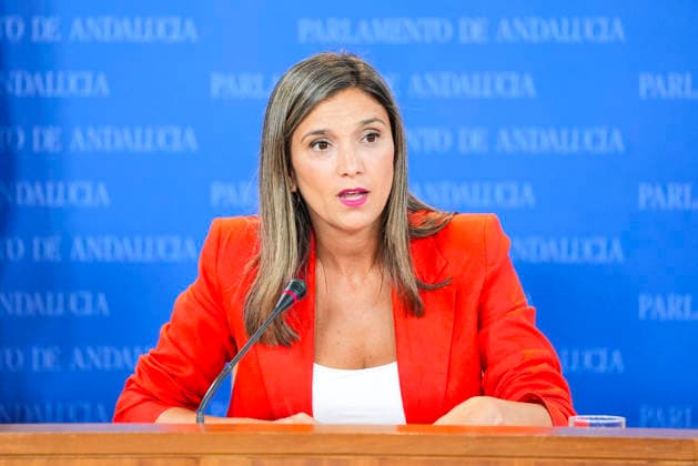 Press conference by spokespersons for the parliamentary groups in the Andalusian Parliament. The spokesperson for the Socialist Parliamentary Group, María Máquez, during the press conference round featuring spokespeople from the parliamentary groups at the Andalusian Parliament September 23, 2026, in Seville, Andalusia, Spain The spokespeople for the parliamentary groups gather in the press room to address the media on a regular basis September 23, 2026 Joaquí Seville Andalusia Seville Andalusia Spain  Copyright: xJoaquinxCorcherox 7793468