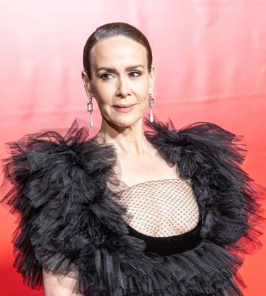September 23, 2026, Bronx, New York, USA: Sarah Paulson wearing dress by Valentino attends premiere American Horror Story: 13 by FX Hulu at The Hotel Chelsea in New York, NY on September 23, 2026. Bronx USA  - ZUMAr339 20260923_znp_r339_195 Copyright: xLevxRadinx