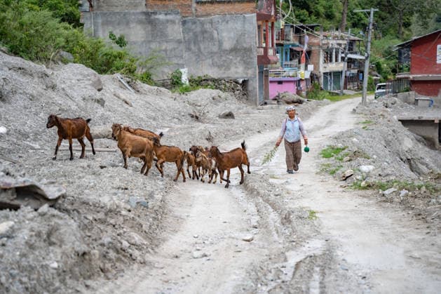 September 24, 2026, Rasuwa, Bagmati, Nepal: The flood has left much of Syabrubesi in ruins, with residents still searching for missing loved ones and struggling to come to terms with the devastation...Syabrubesi Bazaar in Rasuwa, one of the areas hardest hit by the August 26 flood in the Bhotekoshi River, has been largely devastated. Rasuwa Nepal  - ZUMAa308 20260924_znp_a308_024 Copyright: xChandraxBahadurxAlex