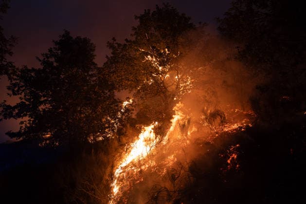 Level 2 alert declared for the Calvos de Randín fire in Ourense due to its proximity to the town of As Meaus, with 140 hectares destroyed. View of the fire on September 24, 2026, in Calvos de Randín, Ourense, Galicia, Spain. The Regional Ministry of Rural Affairs has declared a Level 2 emergency for the fire in Calvos de Randín, Ourense, as a preventive measure due to the fire’s proximity to the village of As Meaus, in the neighboring municipality of Baltar. The out-of-control fire has scorched 140 hectares. The fire broke out at 1:36 p.m. this Thursday, and firefighting efforts are underway, including, among others, eight helicopters and nine airplanes. SEPTEMBER 24, 2026 FIRE NATURAL DISASTER FIREFIGHTERS FLAME FLAME SPLASH Adriá Calvos  Copyright: xAdrianxIragox 7797850