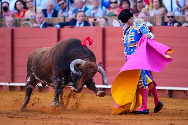 Second Subscription Bullfight of the San Miguel Fair in Seville: José María Manzanares during the second subscription bullfight of the San Miguel Fair at the Real Maestranza de Caballería on September 25, 2026, in Seville, Andalusia, Spain José María Manzanares, Alejandro Talavante, and Juan Ortega fought bulls from Puerto de San Lorenzo and Ventana de San Lorenzo during the first subscription bullfight of the San Miguel Fair on September 25, 2026, in Seville, Andalusia, Spain Copyright: xJoaquinxCorcherox 7800419