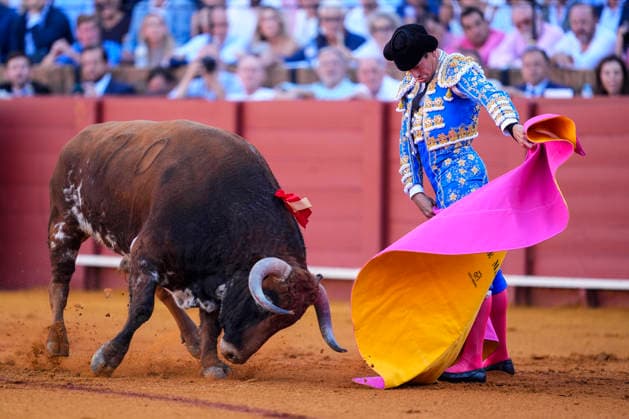 Second Subscription Bullfight of the San Miguel Fair in Seville: José María Manzanares during the second subscription bullfight of the San Miguel Fair at the Real Maestranza de Caballería on September 25, 2026, in Seville, Andalusia, Spain José María Manzanares, Alejandro Talavante, and Juan Ortega fought bulls from Puerto de San Lorenzo and Ventana de San Lorenzo during the first subscription bullfight of the San Miguel Fair on September 25, 2026, in Seville, Andalusia, Spain Copyright: xJoaquinxCorcherox 7800421