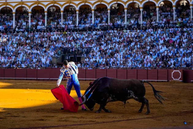 Second Subscription Bullfight of the San Miguel Fair in Seville: José María Manzanares during the second subscription bullfight of the San Miguel Fair at the Real Maestranza de Caballería on September 25, 2026, in Seville, Andalusia, Spain José María Manzanares, Alejandro Talavante, and Juan Ortega fought bulls from Puerto de San Lorenzo and Ventana de San Lorenzo during the first subscription bullfight of the San Miguel Fair on September 25, 2026, in Seville, Andalusia, Spain Copyright: xJoaquinxCorcherox 7800424
