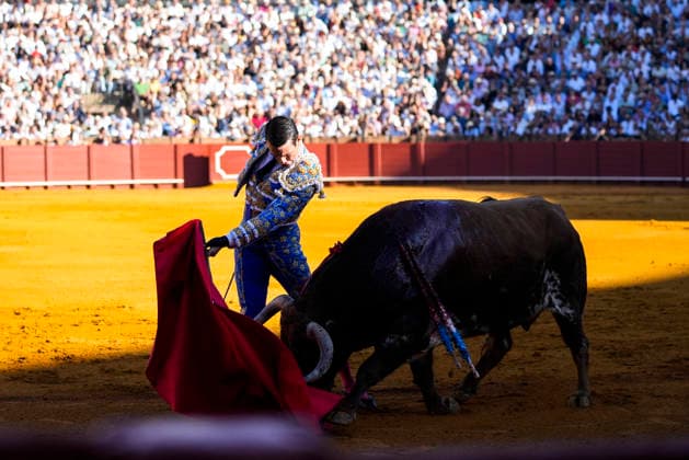 Second Subscription Bullfight of the San Miguel Fair in Seville: José María Manzanares during the second subscription bullfight of the San Miguel Fair at the Real Maestranza de Caballería on September 25, 2026, in Seville, Andalusia, Spain José María Manzanares, Alejandro Talavante, and Juan Ortega fought bulls from Puerto de San Lorenzo and Ventana de San Lorenzo during the first subscription bullfight of the San Miguel Fair on September 25, 2026, in Seville, Andalusia, Spain Copyright: xJoaquinxCorcherox 7800426