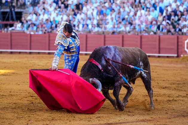 Second Subscription Bullfight of the San Miguel Fair in Seville: José María Manzanares during the second subscription bullfight of the San Miguel Fair at the Real Maestranza de Caballería on September 25, 2026, in Seville, Andalusia, Spain José María Manzanares, Alejandro Talavante, and Juan Ortega fought bulls from Puerto de San Lorenzo and Ventana de San Lorenzo during the first subscription bullfight of the San Miguel Fair on September 25, 2026, in Seville, Andalusia, Spain Copyright: xJoaquinxCorcherox 7800431