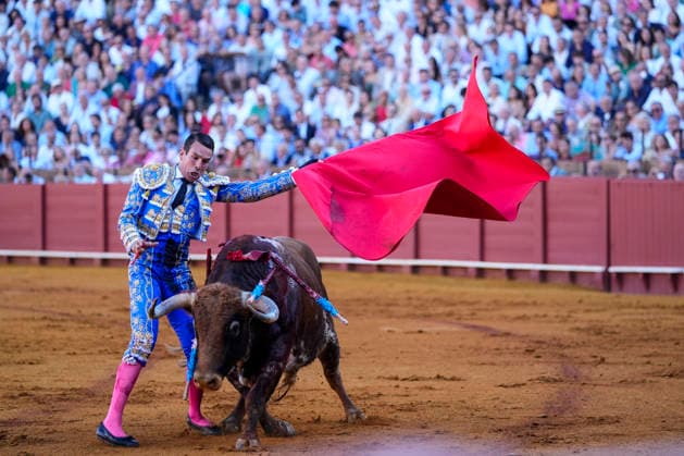 Second Subscription Bullfight of the San Miguel Fair in Seville: José María Manzanares during the second subscription bullfight of the San Miguel Fair at the Real Maestranza de Caballería on September 25, 2026, in Seville, Andalusia, Spain José María Manzanares, Alejandro Talavante, and Juan Ortega fought bulls from Puerto de San Lorenzo and Ventana de San Lorenzo during the first subscription bullfight of the San Miguel Fair on September 25, 2026, in Seville, Andalusia, Spain Copyright: xJoaquinxCorcherox 7800435