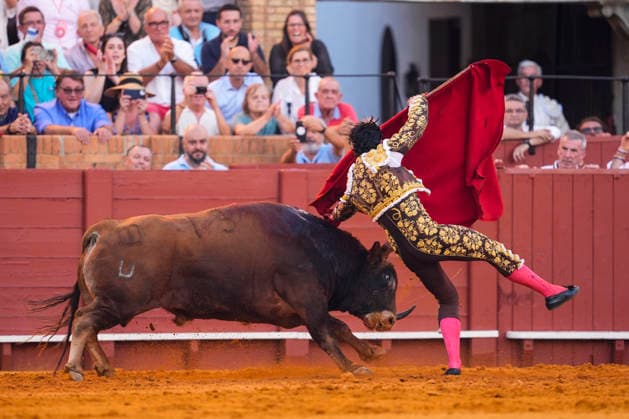 Second Subscription Bullfight of the San Miguel Fair in Seville: Alejandro Talavante during the second subscription bullfight of the San Miguel Fair at the Real Maestranza de Caballería on September 25, 2026, in Seville, Andalusia, Spain José María Manzanares, Alejandro Talavante, and Juan Ortega fought bulls from Puerto de San Lorenzo and Ventana de San Lorenzo during the first subscription bullfight of the San Miguel Fair on September 25, 2026, in Seville, Andalusia, Spain Copyright: xJoaquinxCorcherox 7800456