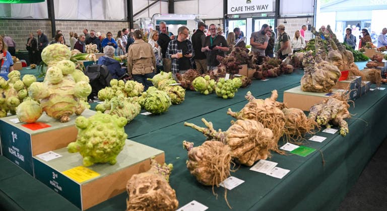 Malvern Autumn Show 2026, Malvern Show Ground , Malvern,. Gloucestershire, UK. Giant vegetables on display at the Malvern Autumn Show 2026 Malvern Show Ground, Malvern, . Gloucestershire, UK., Credit:Jules Annan Avalon England  Copyright: xJulesxAnnanx xAvalonx 1138424331