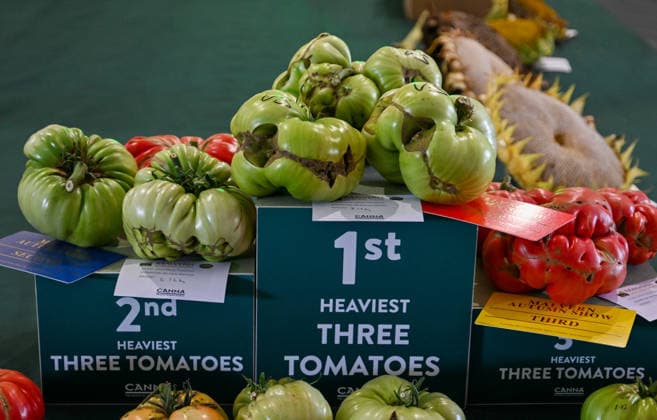 Malvern Autumn Show 2026, Malvern Show Ground , Malvern,. Gloucestershire, UK. Giant vegetables on display at the Malvern Autumn Show 2026 Malvern Show Ground, Malvern, . Gloucestershire, UK., Credit:Jules Annan Avalon England  Copyright: xJulesxAnnanx xAvalonx 1138424652
