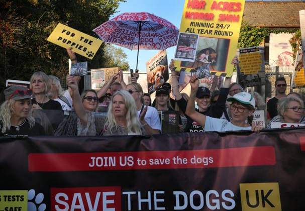September 26, 2026, Huntingdon, United Kingdom: Animal activists protest outside the main gates of MBR Acres with placards and banners during the protest. Save The Dogs UK march to end animal testing culminating in a rally at MBR Acres in Huntingdon. The facility produces beagle puppies for the vivisection industry. The march to MBR Acres was held at the same time as a two-week march by animal activists in the USA arrived at Marshall BioResources in New York. Both sets of activists claim ™Two Countries, Two Marches. One Shared Message™ The protesters insist both Marshall BioResourses and MBR Acres are closed and demand a future beyond animal testing. Huntingdon United Kingdom - ZUMAs197 20260926_aaa_s197_460 Copyright: xMartinxPopex