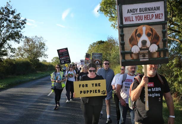 September 26, 2026, Huntingdon, United Kingdom: Animal activists march from Huntingdon station with placards and banners during the protest. Save The Dogs UK march to end animal testing culminating in a rally at MBR Acres in Huntingdon. The facility produces beagle puppies for the vivisection industry. The march to MBR Acres was held at the same time as a two-week march by animal activists in the USA arrived at Marshall BioResources in New York. Both sets of activists claim ™Two Countries, Two Marches. One Shared Message™ The protesters insist both Marshall BioResourses and MBR Acres are closed and demand a future beyond animal testing. Huntingdon United Kingdom - ZUMAs197 20260926_aaa_s197_464 Copyright: xMartinxPopex