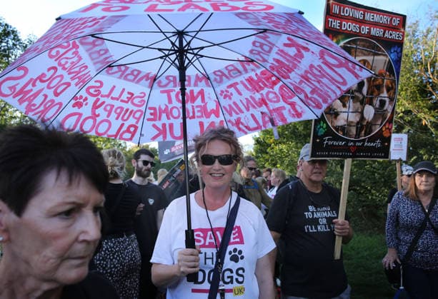 September 26, 2026, Huntingdon, United Kingdom: A protester holds an umbrella with anti-animal testing slogans written on it outside the main gates of MBR Acres during the protest. Save The Dogs UK march to end animal testing culminating in a rally at MBR Acres in Huntingdon. The facility produces beagle puppies for the vivisection industry. The march to MBR Acres was held at the same time as a two-week march by animal activists in the USA arrived at Marshall BioResources in New York. Both sets of activists claim ™Two Countries, Two Marches. One Shared Message™ The protesters insist both Marshall BioResourses and MBR Acres are closed and demand a future beyond animal testing. Huntingdon United Kingdom - ZUMAs197 20260926_aaa_s197_456 Copyright: xMartinxPopex