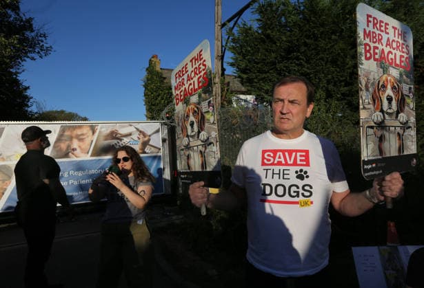 September 26, 2026, Huntingdon, United Kingdom: Animal activists protest outside the main gates of MBR Acres with placards and banners during the protest. Save The Dogs UK march to end animal testing culminating in a rally at MBR Acres in Huntingdon. The facility produces beagle puppies for the vivisection industry. The march to MBR Acres was held at the same time as a two-week march by animal activists in the USA arrived at Marshall BioResources in New York. Both sets of activists claim ™Two Countries, Two Marches. One Shared Message™ The protesters insist both Marshall BioResourses and MBR Acres are closed and demand a future beyond animal testing. Huntingdon United Kingdom - ZUMAs197 20260926_aaa_s197_458 Copyright: xMartinxPopex