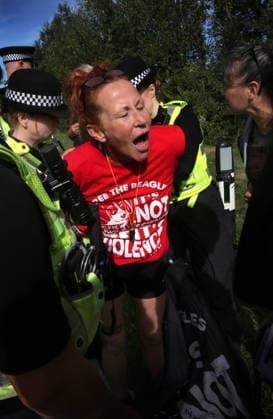 September 26, 2026, Huntingdon, United Kingdom: An activist is arrested after interfering with staff members as they left the factory during the protest. Save The Dogs UK march to end animal testing culminating in a rally at MBR Acres in Huntingdon. The facility produces beagle puppies for the vivisection industry. The march to MBR Acres was held at the same time as a two-week march by animal activists in the USA arrived at Marshall BioResources in New York. Both sets of activists claim ™Two Countries, Two Marches. One Shared Message™ The protesters insist both Marshall BioResourses and MBR Acres are closed and demand a future beyond animal testing. Huntingdon United Kingdom - ZUMAs197 20260926_aaa_s197_461 Copyright: xMartinxPopex