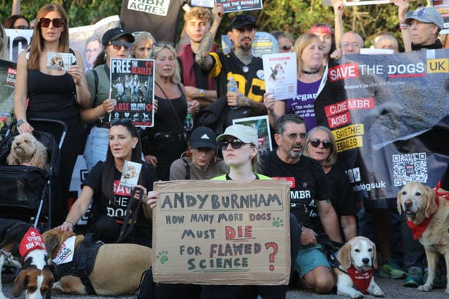 September 26, 2026, Huntingdon, United Kingdom: Animal activists protest outside the main gates of MBR Acres with placards and banners during the protest. Save The Dogs UK march to end animal testing culminating in a rally at MBR Acres in Huntingdon. The facility produces beagle puppies for the vivisection industry. The march to MBR Acres was held at the same time as a two-week march by animal activists in the USA arrived at Marshall BioResources in New York. Both sets of activists claim ™Two Countries, Two Marches. One Shared Message™ The protesters insist both Marshall BioResourses and MBR Acres are closed and demand a future beyond animal testing. Huntingdon United Kingdom - ZUMAs197 20260926_aaa_s197_462 Copyright: xMartinxPopex