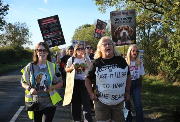 September 26, 2026, Huntingdon, United Kingdom: Animal activists march from Huntingdon station with placards and banners during the protest. Save The Dogs UK march to end animal testing culminating in a rally at MBR Acres in Huntingdon. The facility produces beagle puppies for the vivisection industry. The march to MBR Acres was held at the same time as a two-week march by animal activists in the USA arrived at Marshall BioResources in New York. Both sets of activists claim ™Two Countries, Two Marches. One Shared Message™ The protesters insist both Marshall BioResourses and MBR Acres are closed and demand a future beyond animal testing. Huntingdon United Kingdom - ZUMAs197 20260926_aaa_s197_451 Copyright: xMartinxPopex