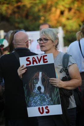 September 26, 2026, Huntingdon, United Kingdom: A protester holds a placard saying ™Save Us™ with a photo of a beagle outside the main gates of MBR Acres during the protest. Save The Dogs UK march to end animal testing culminating in a rally at MBR Acres in Huntingdon. The facility produces beagle puppies for the vivisection industry. The march to MBR Acres was held at the same time as a two-week march by animal activists in the USA arrived at Marshall BioResources in New York. Both sets of activists claim ™Two Countries, Two Marches. One Shared Message™ The protesters insist both Marshall BioResourses and MBR Acres are closed and demand a future beyond animal testing. Huntingdon United Kingdom - ZUMAs197 20260926_aaa_s197_452 Copyright: xMartinxPopex