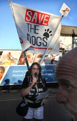 September 26, 2026, Huntingdon, United Kingdom: A protester carries a placard saying ™SaveThe Dogs™ as they address those gathered outside the main gates of MBR Acres during the protest. Save The Dogs UK march to end animal testing culminating in a rally at MBR Acres in Huntingdon. The facility produces beagle puppies for the vivisection industry. The march to MBR Acres was held at the same time as a two-week march by animal activists in the USA arrived at Marshall BioResources in New York. Both sets of activists claim ™Two Countries, Two Marches. One Shared Message™ The protesters insist both Marshall BioResourses and MBR Acres are closed and demand a future beyond animal testing. Huntingdon United Kingdom - ZUMAs197 20260926_aaa_s197_457 Copyright: xMartinxPopex