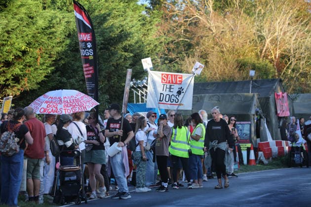 September 26, 2026, Huntingdon, United Kingdom: Animal activists gather at Camp Beagle outside the main gates of MBR Acres with placards and banners during the protest. Save The Dogs UK march to end animal testing culminating in a rally at MBR Acres in Huntingdon. The facility produces beagle puppies for the vivisection industry. The march to MBR Acres was held at the same time as a two-week march by animal activists in the USA arrived at Marshall BioResources in New York. Both sets of activists claim ™Two Countries, Two Marches. One Shared Message™ The protesters insist both Marshall BioResourses and MBR Acres are closed and demand a future beyond animal testing. Huntingdon United Kingdom - ZUMAs197 20260926_aaa_s197_446 Copyright: xMartinxPopex